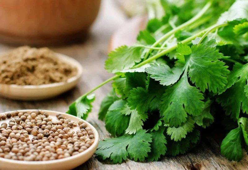 Thực phẩm tốt cho thận